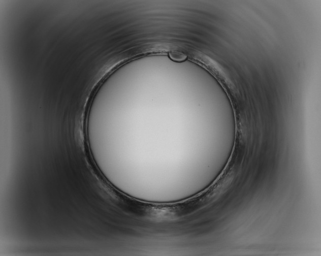 X0000096720794200802191527