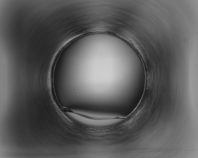 X0000096720795200802191527