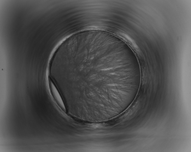 X0000096720796200802191527