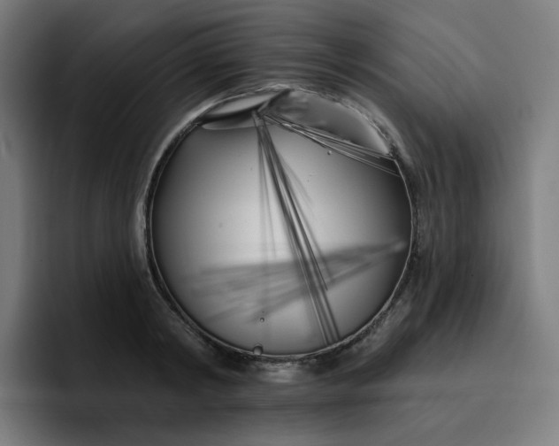 X0000096720798200802191527