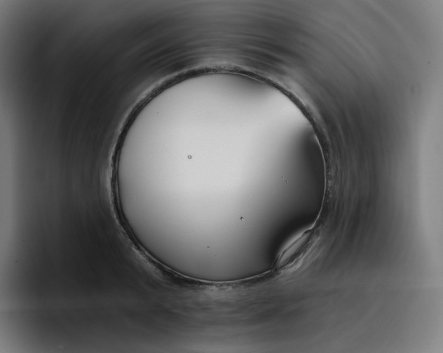 X0000096720799200802191527