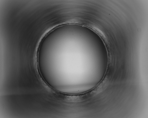 X0000096720800200802191527