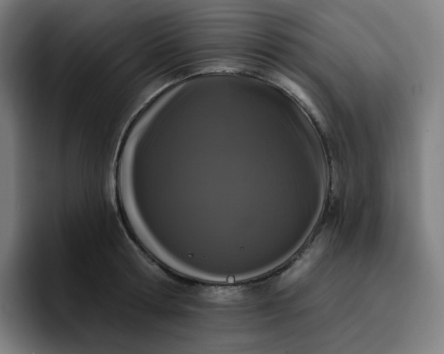 X0000096720802200802191527