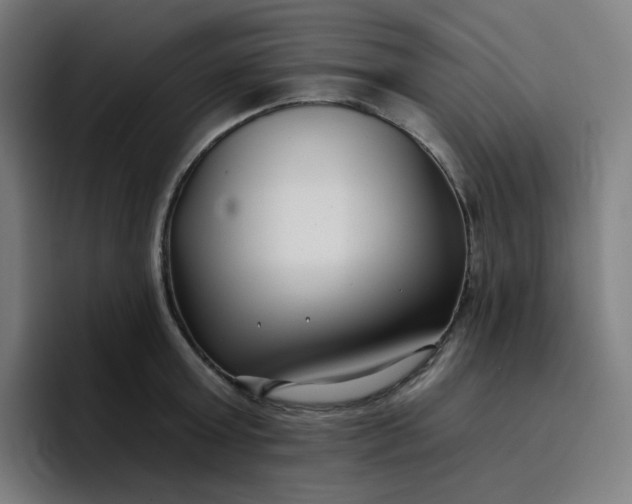 X0000096720803200802191527