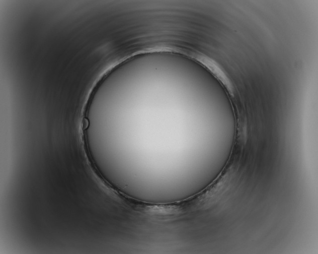 X0000096720805200802191527