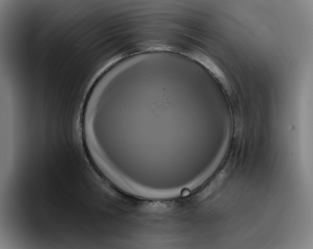 X0000096720806200802191527