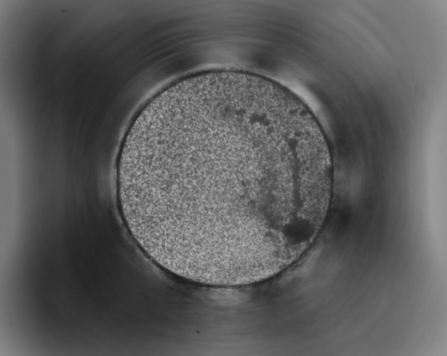 X0000096720807200802191527