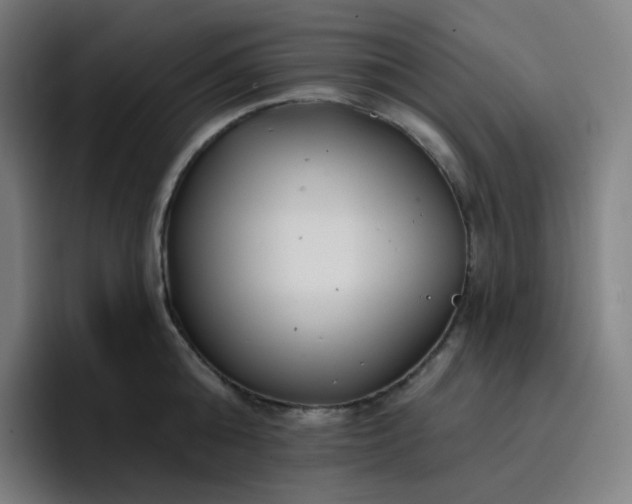 X0000096720808200802191527