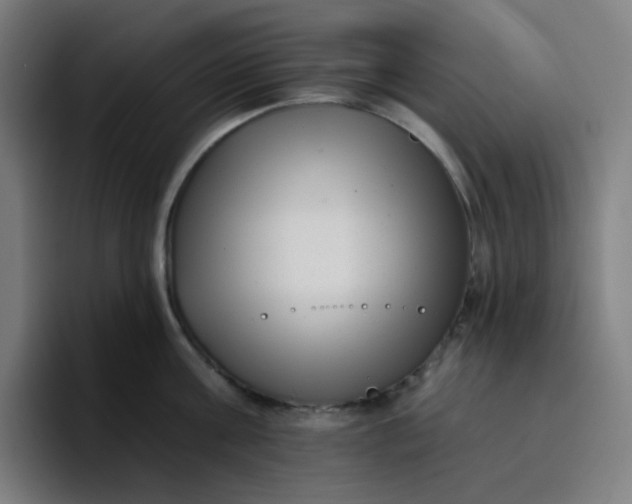 X0000096720811200802191527