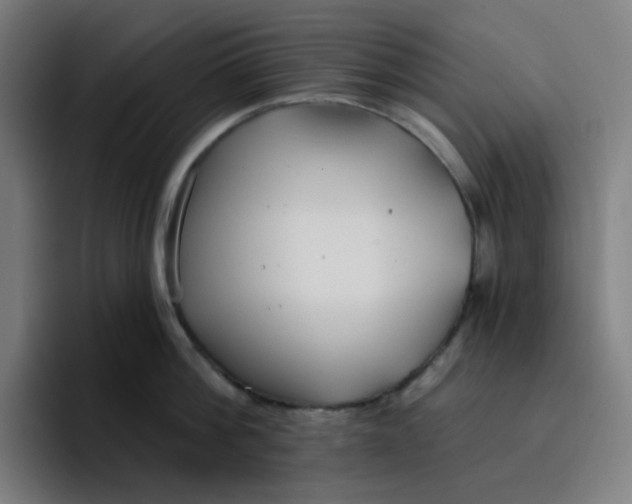 X0000096720812200802191527