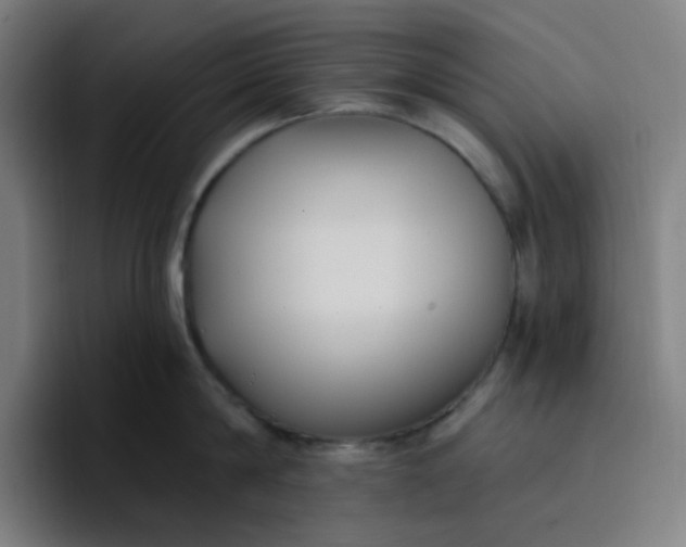 X0000096720814200802191527