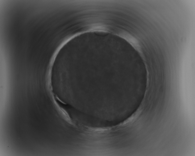 X0000096720816200802191527