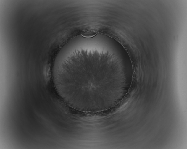 X0000096720818200802191526