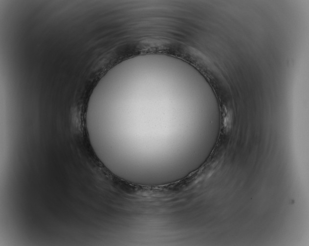 X0000096720819200802191526