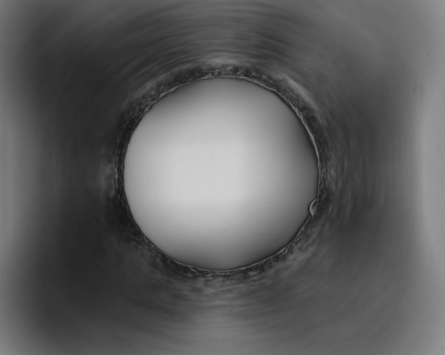 X0000096720821200802191526