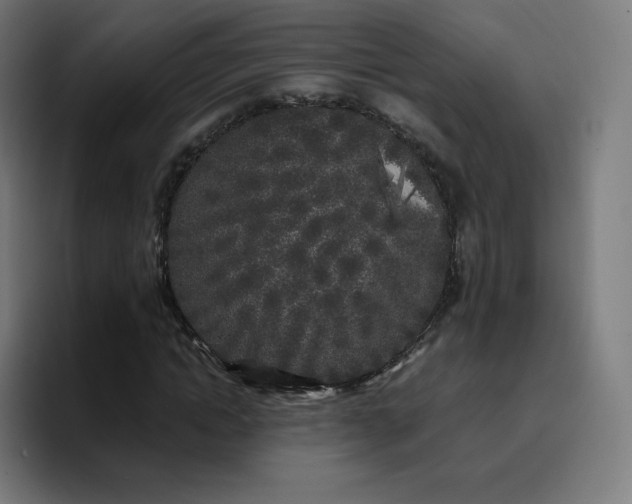 X0000096720822200802191526