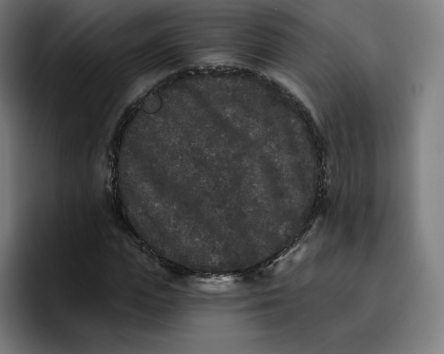 X0000096720823200802191526