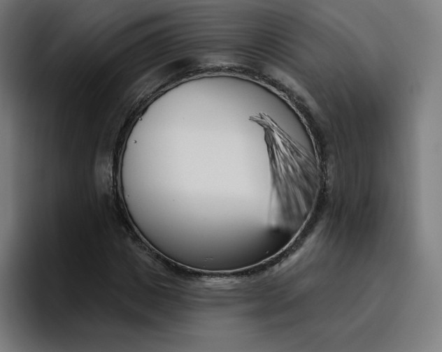 X0000096720825200802191526