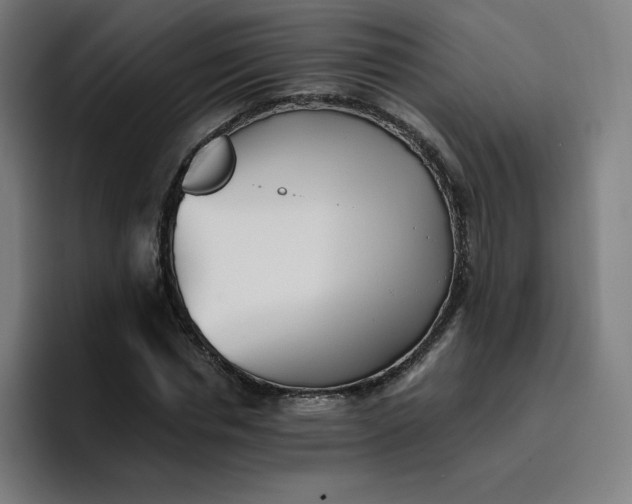 X0000096720826200802191526