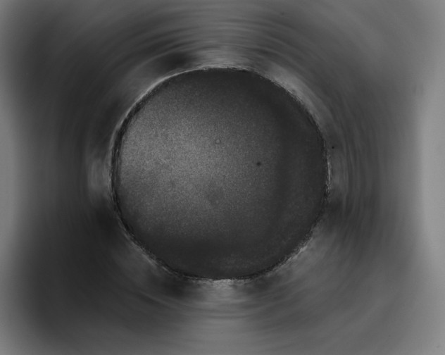 X0000096720828200802191526