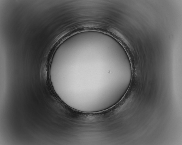 X0000096720829200802191526