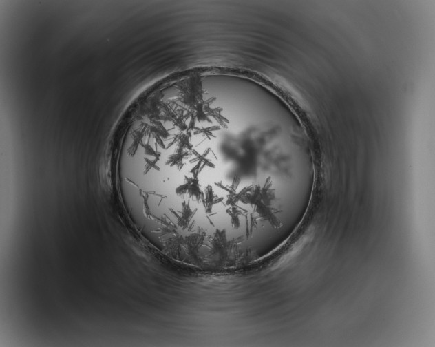 X0000096720830200802191526