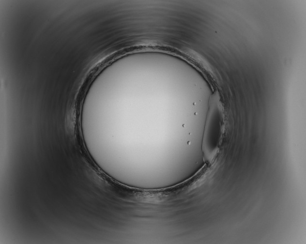 X0000096720831200802191526