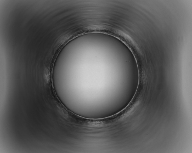 X0000096720833200802191526