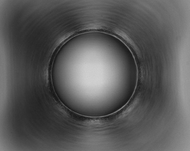 X0000096720834200802191526