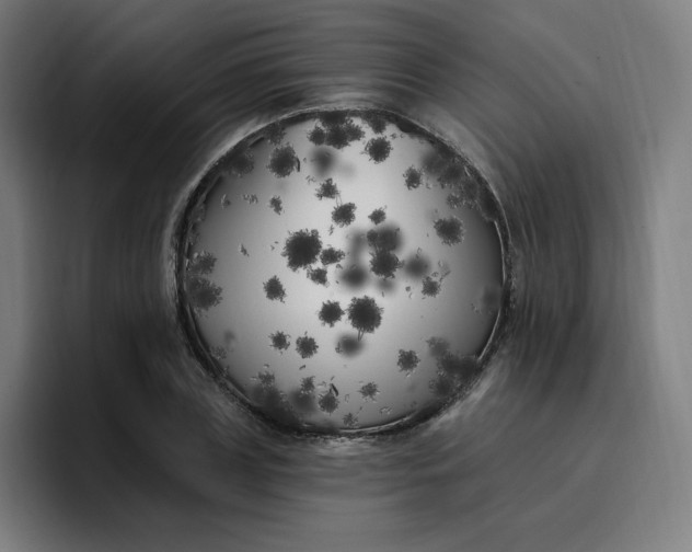 X0000096720835200802191526