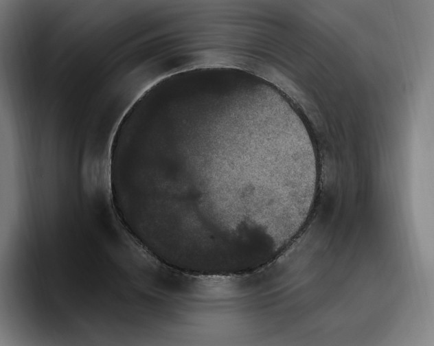 X0000096720836200802191526