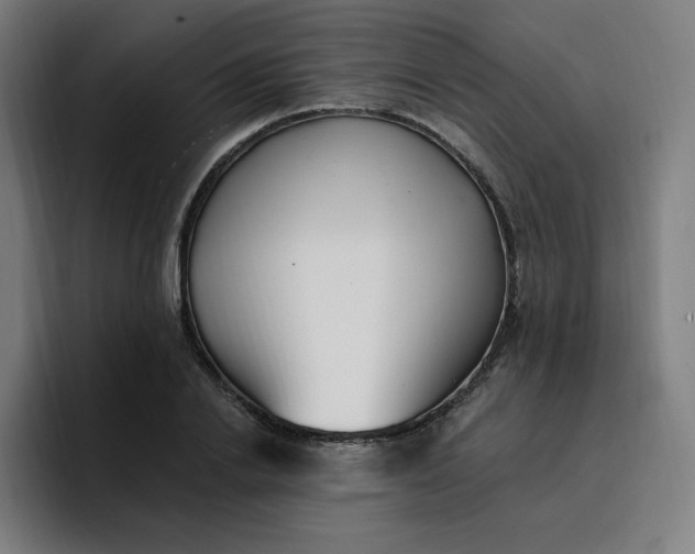 X0000096720838200802191527