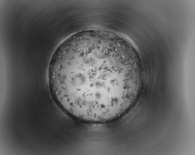 X0000096720839200802191527