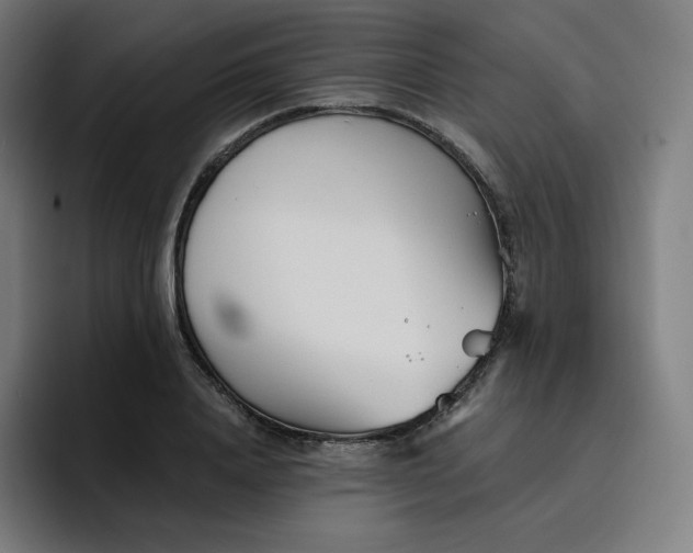 X0000096720840200802191527