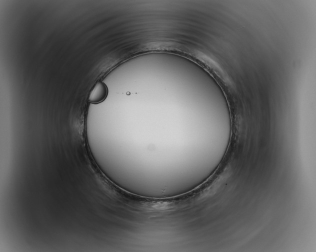 X0000096720841200802191527