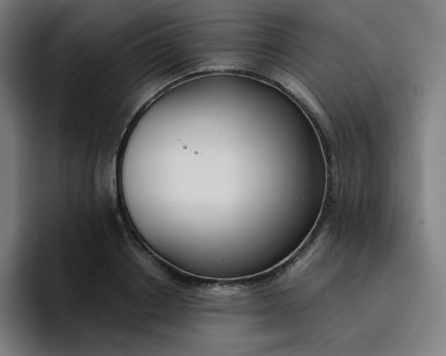 X0000096720842200802191527