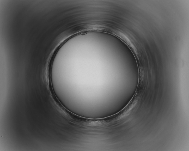 X0000096720843200802191527