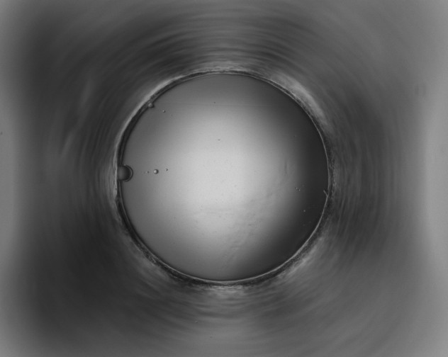 X0000096720844200802191527