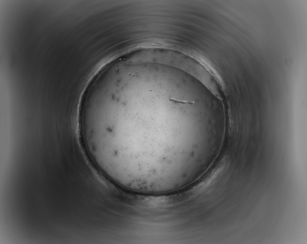 X0000096720845200802191527