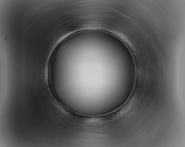 X0000096720846200802191527