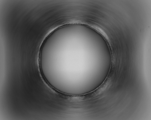 X0000096720847200802191527