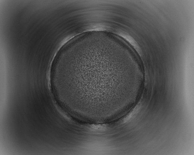 X0000096720850200802191527