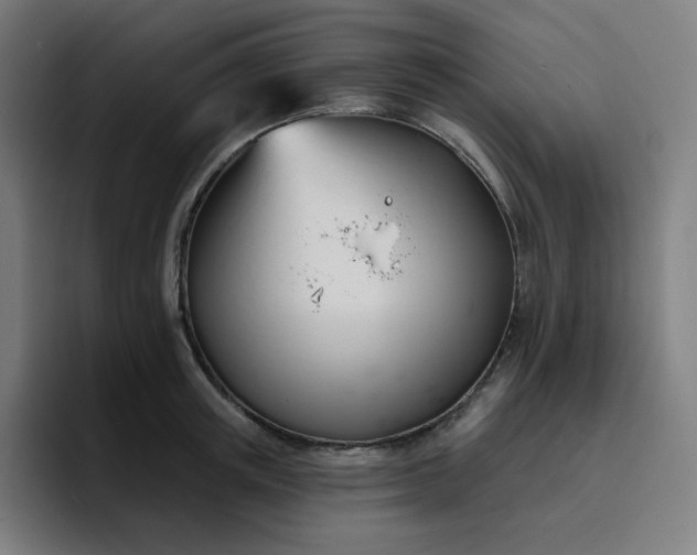 X0000096720851200802191527