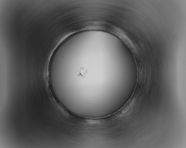 X0000096720852200802191527