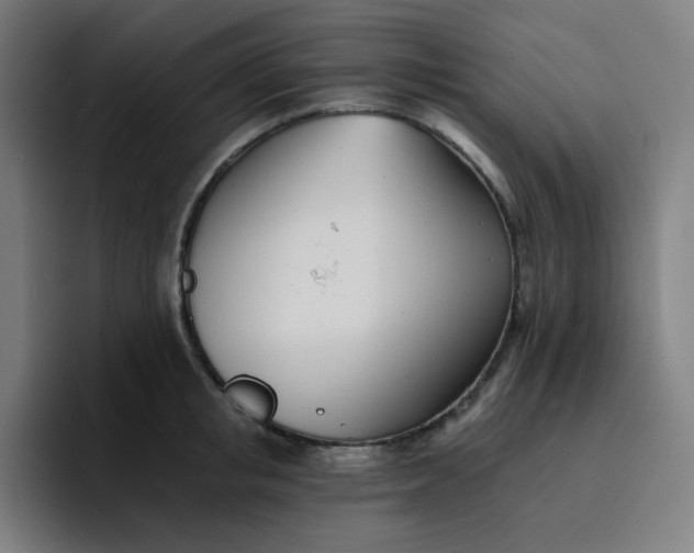 X0000096720853200802191527