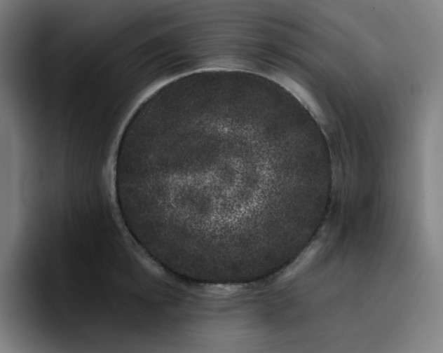 X0000096720854200802191527