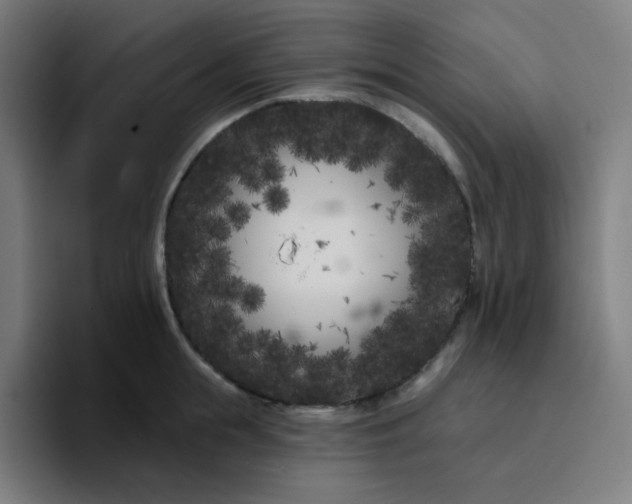 X0000096720855200802191527