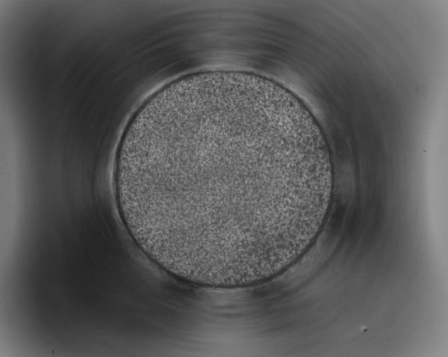 X0000096720856200802191527