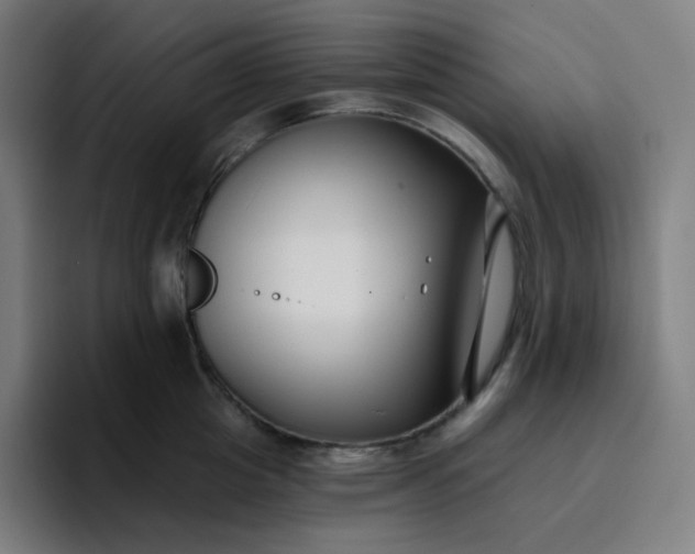 X0000096720857200802191527