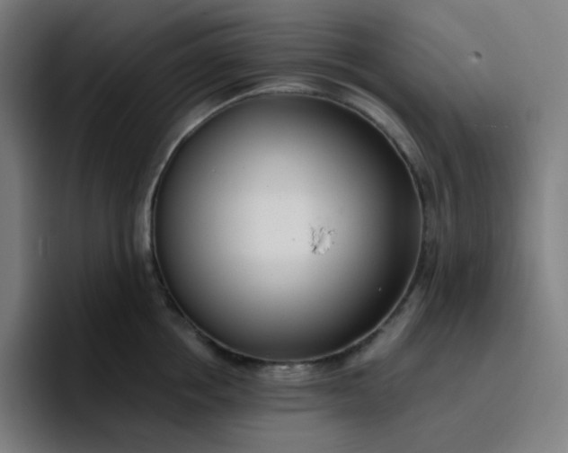 X0000096720858200802191527